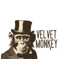 Velvet Monkey